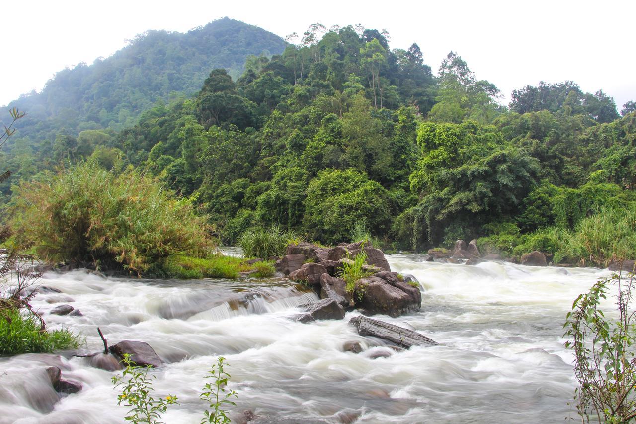 Adventure Base Camp Hotel Kitulgala Ngoại thất bức ảnh