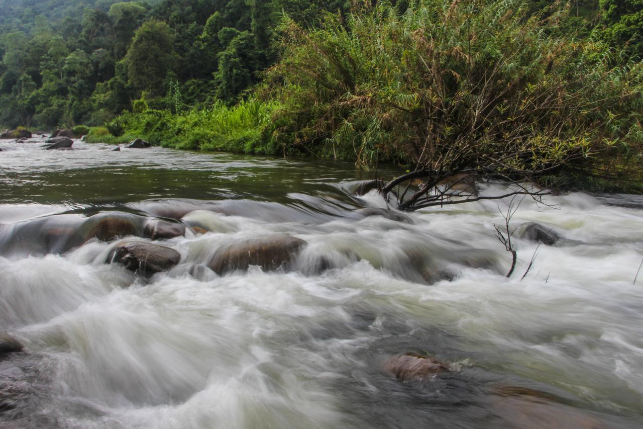 Adventure Base Camp Hotel Kitulgala Ngoại thất bức ảnh