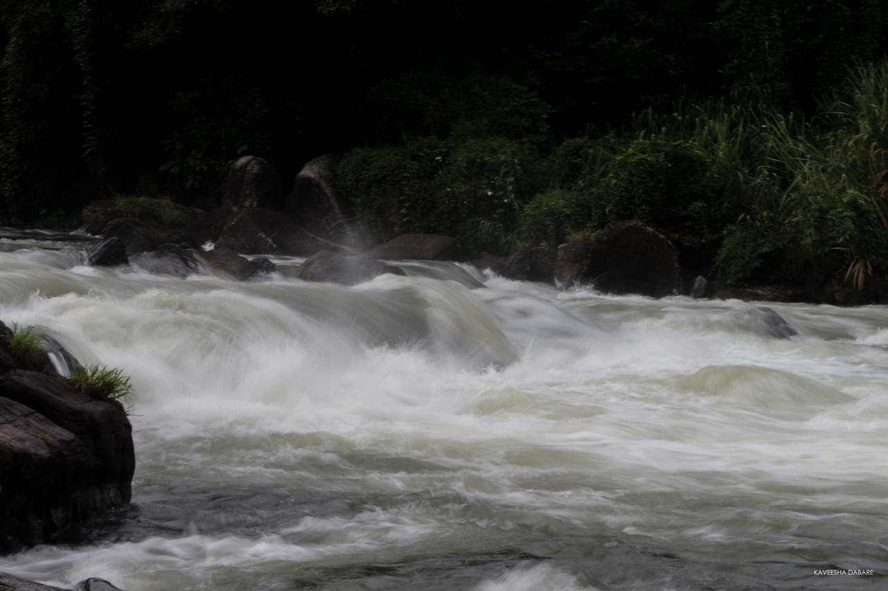 Adventure Base Camp Hotel Kitulgala Ngoại thất bức ảnh