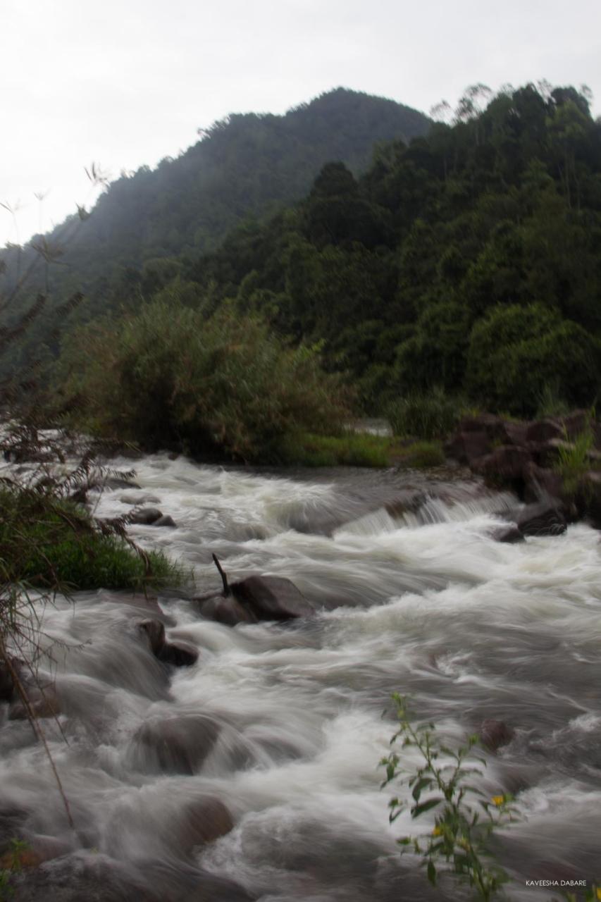 Adventure Base Camp Hotel Kitulgala Ngoại thất bức ảnh