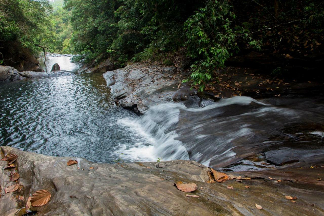 Adventure Base Camp Hotel Kitulgala Ngoại thất bức ảnh