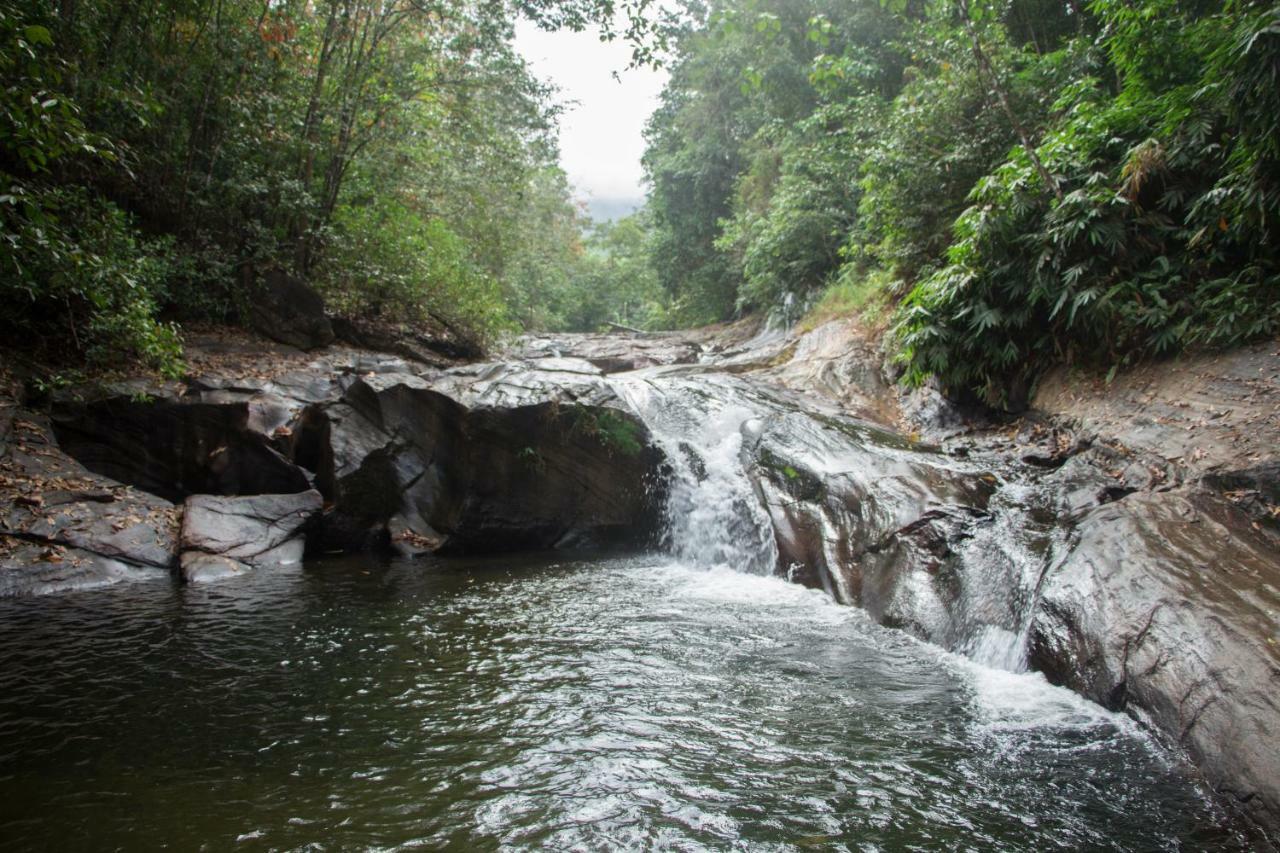Adventure Base Camp Hotel Kitulgala Ngoại thất bức ảnh