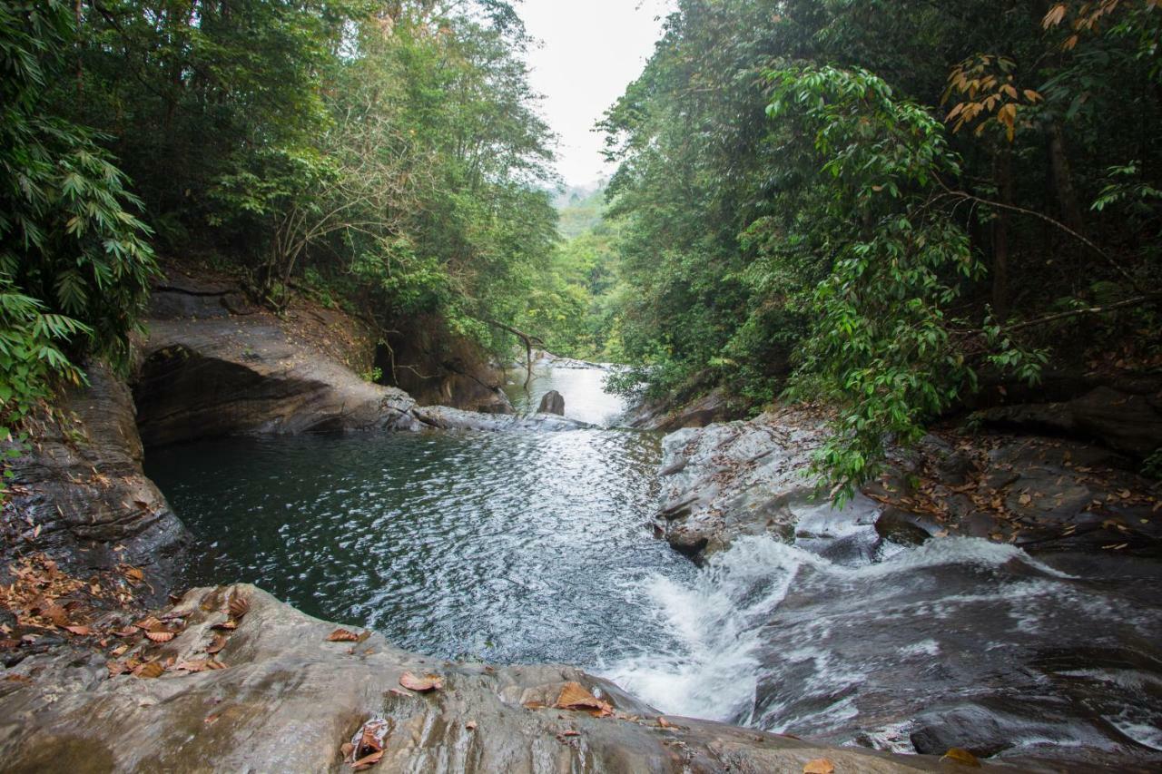 Adventure Base Camp Hotel Kitulgala Ngoại thất bức ảnh